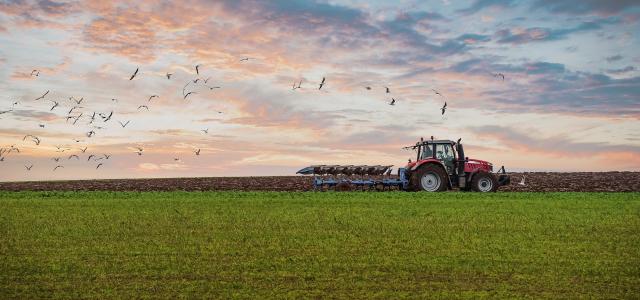 Tractor in early morning